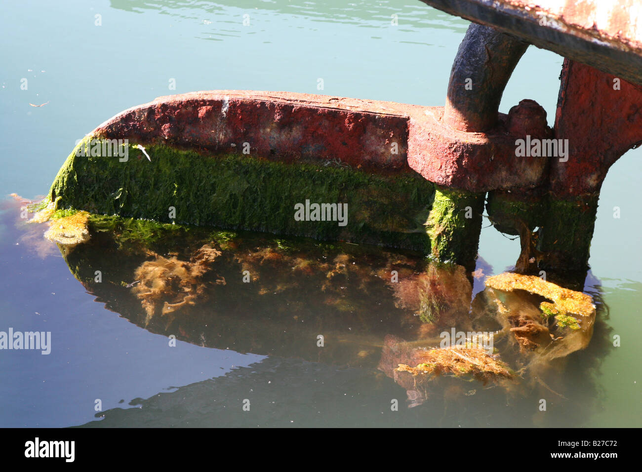 Alte Schiffe Ruder in Seetang und Algen bedeckt Stockfoto