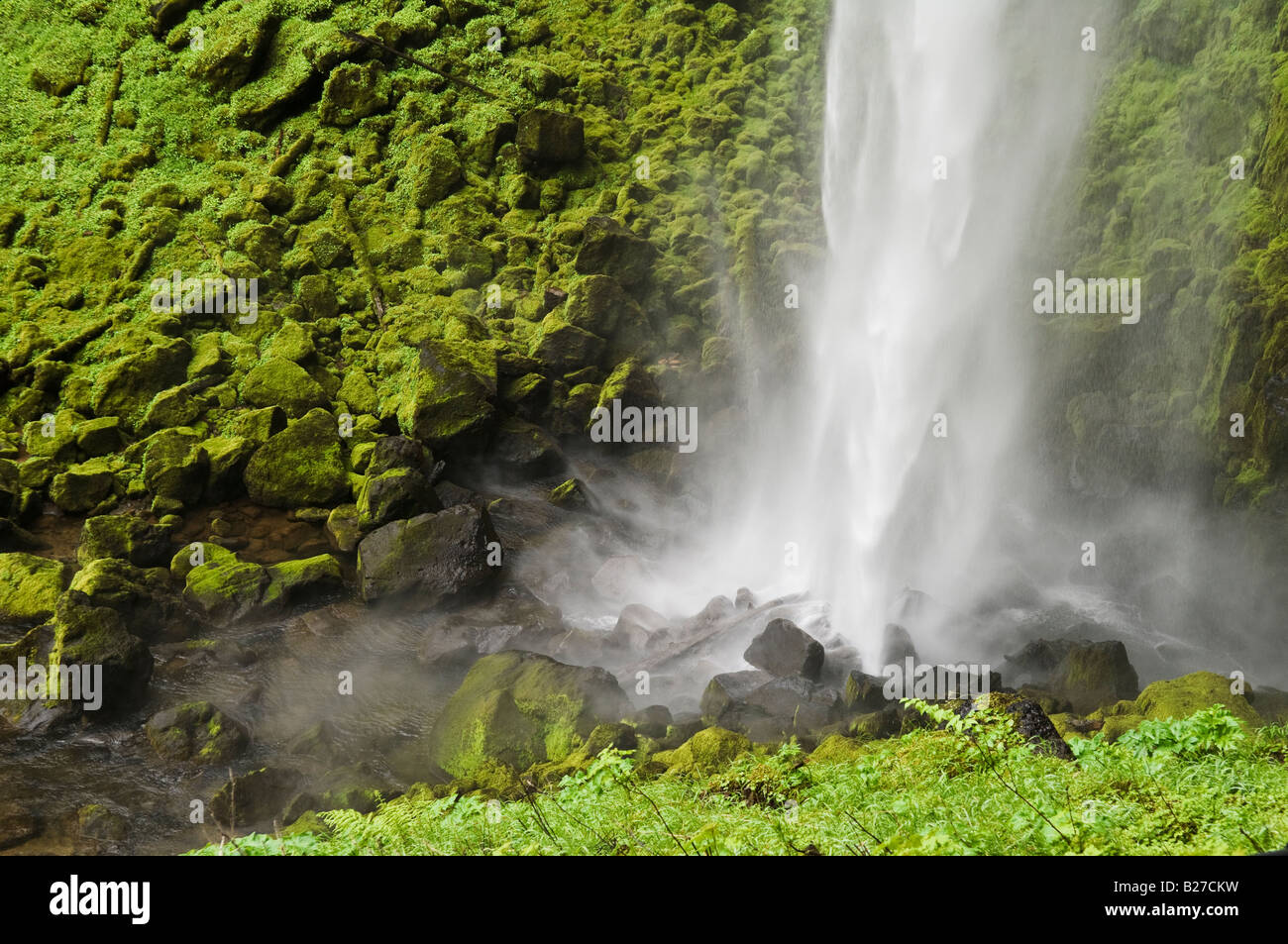 Watson Creek Falls Umpqua National Forest Oregon Stockfoto