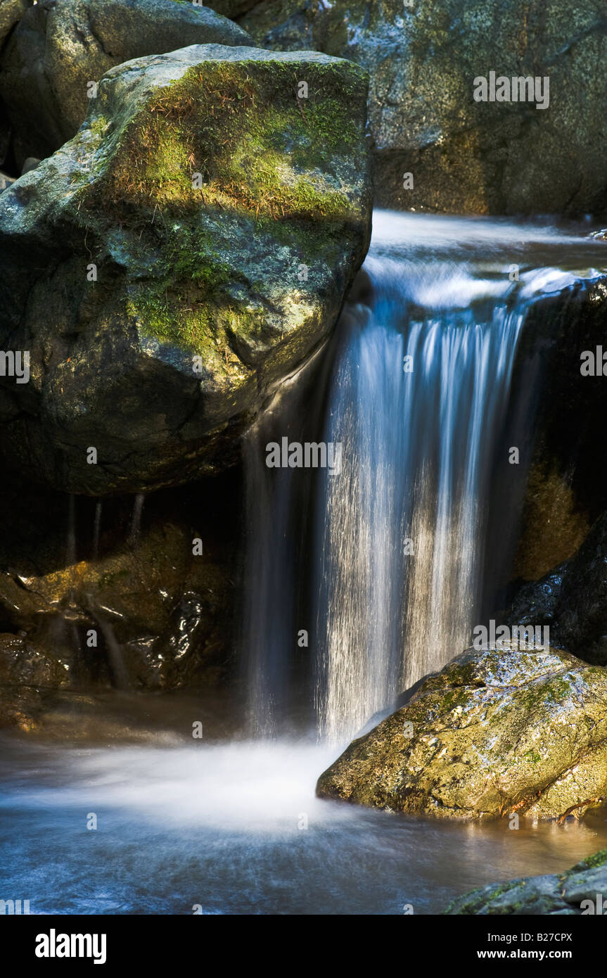 Wasserfall am Bach entlang Redwood Naturlehrpfad Rogue River-Siskiyou National Forest Oregon Stockfoto