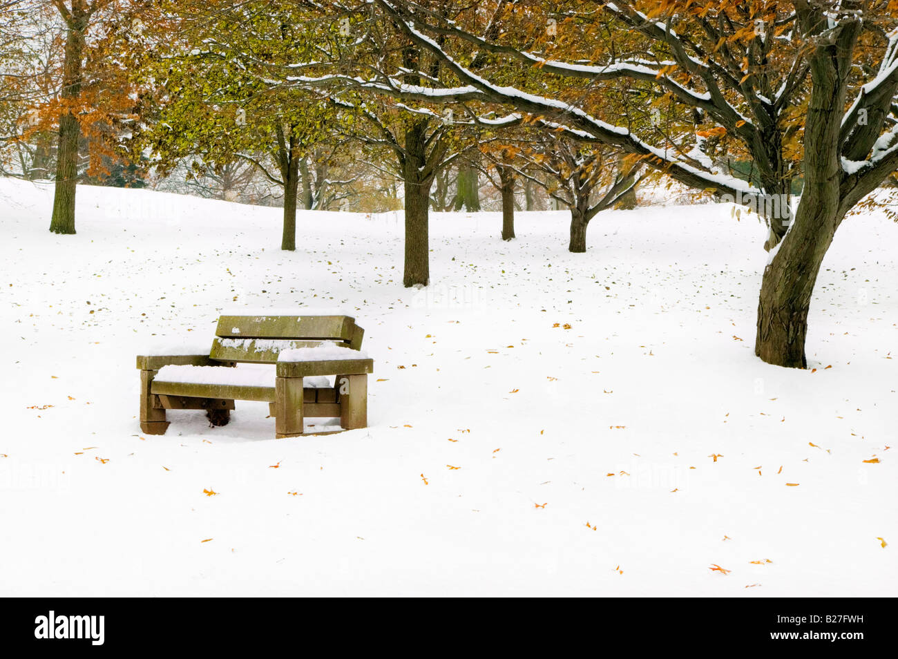 Eine einsame leere Parkbank im Winter mit Herbstlaub an den Bäumen, vermittelt ein Gefühl von Einsamkeit und Einsamkeit. Stockfoto