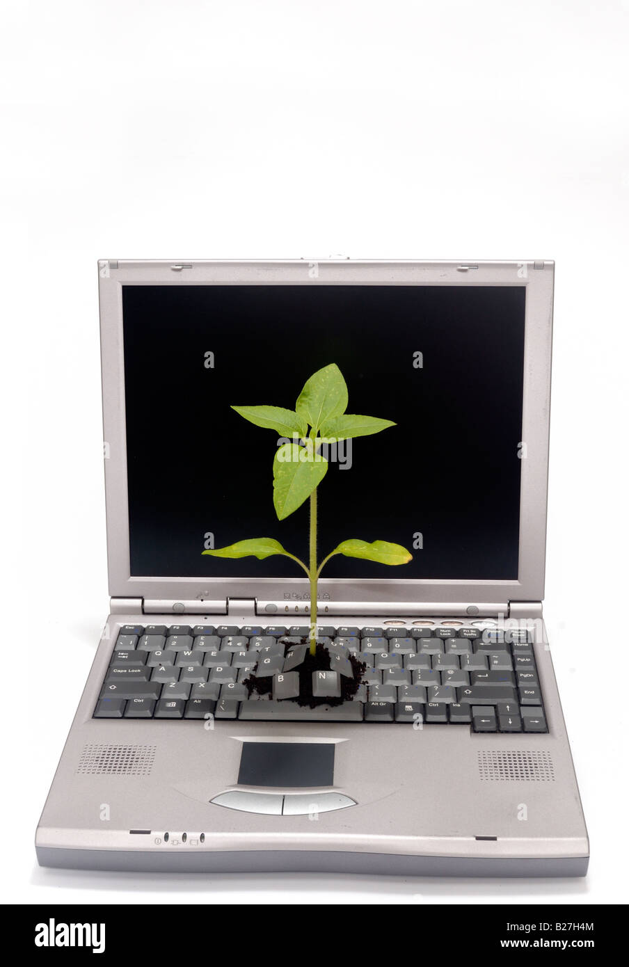 Einen Laptop-Computer mit einen Sämling wächst über die Tastatur Stockfoto