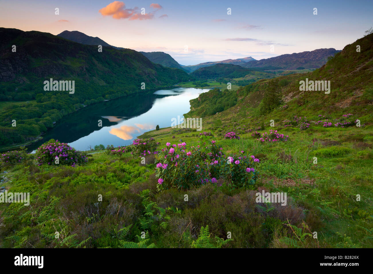 Ein Sommerabend über Lllyn Dinas in Snowdonia-Nationalpark Stockfoto