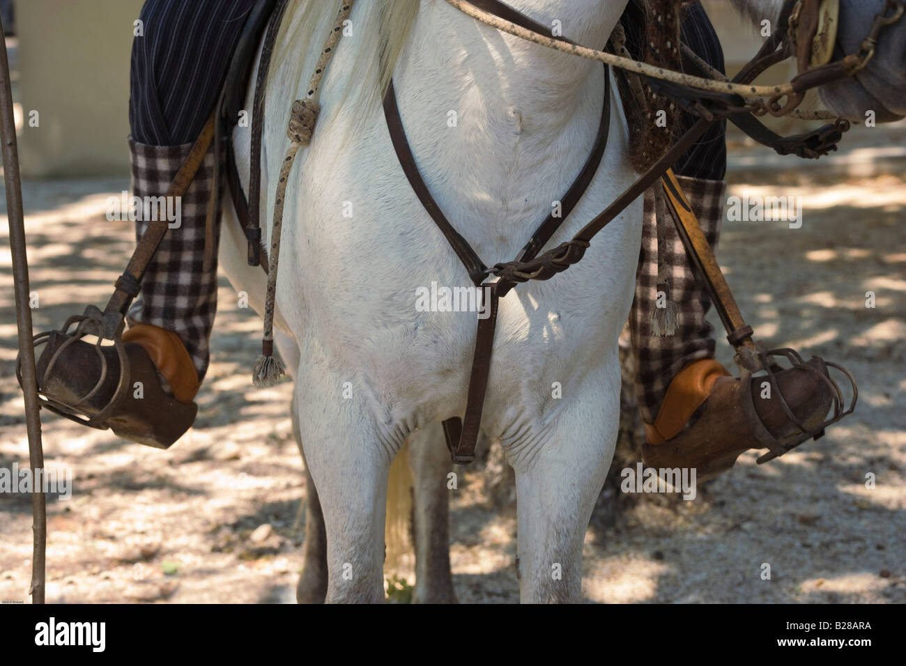 Camargue Provence Frankreich Pferd Cowboy tradition Stockfoto