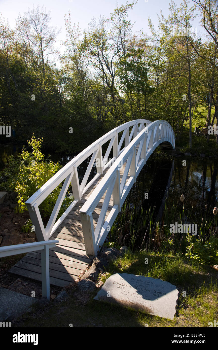 Hölzerne Fußgängerbrücke über einen Teich, Somesville, ME Stockfoto