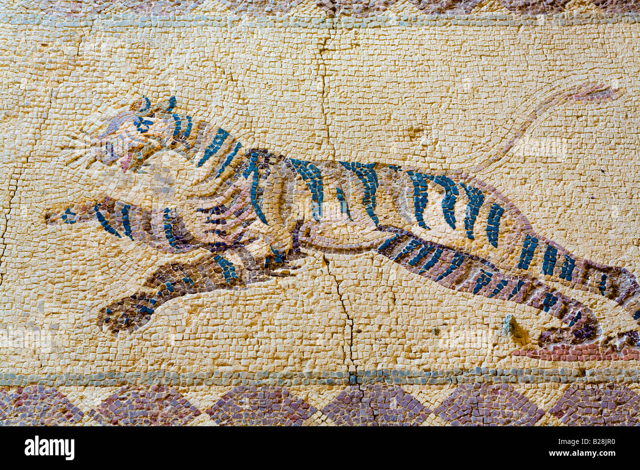 Mosaik des Tigers aus dem südlichen Portikus im Haus des Dionysos, Paphos Mosaiken, Nea Paphos, Zypern Stockfoto