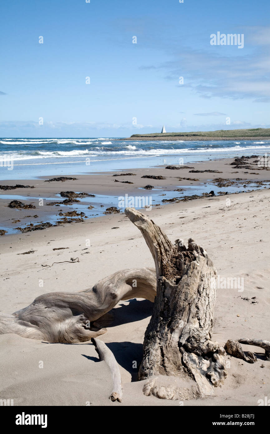 Holy Island, Lindisfarne Blickrichtung Emmanual Head Stockfotografie