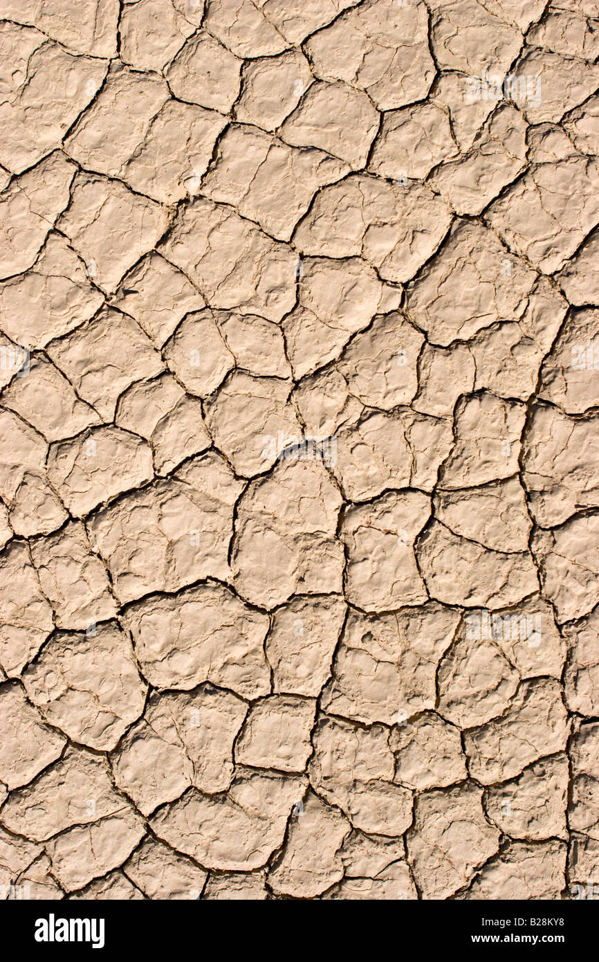 Ausgetrockneten Boden im Deadvlei im Namib-Naukluft-Nationalpark, Namibia Stockfoto