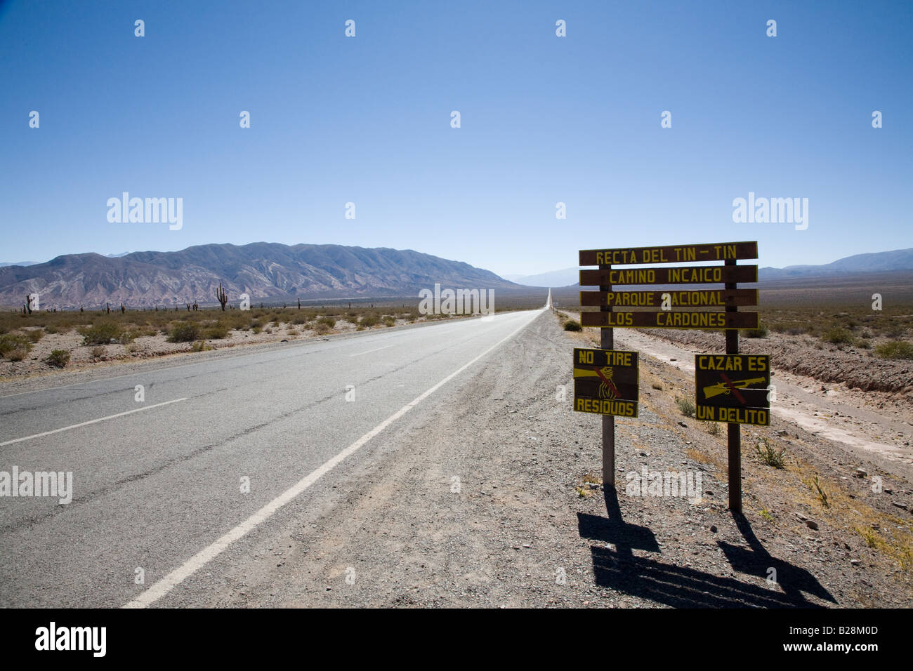 La Recta del Tin Tin, Parque Nacional Los Cardones, Argentinien Stockfoto