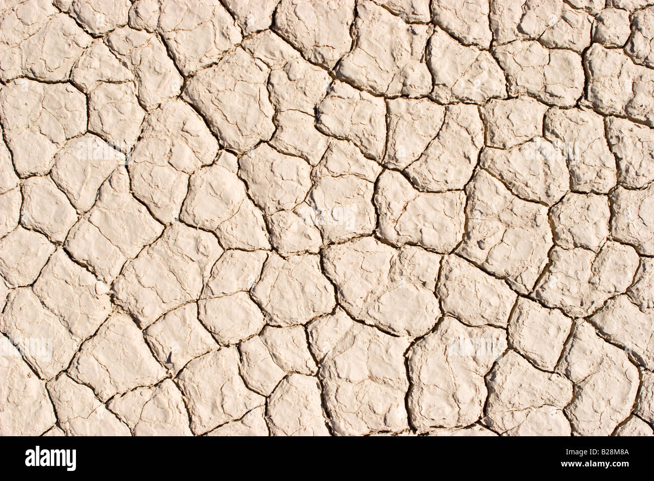 Ausgetrockneten Boden im Deadvlei im Namib-Naukluft-Nationalpark, Namibia Stockfoto