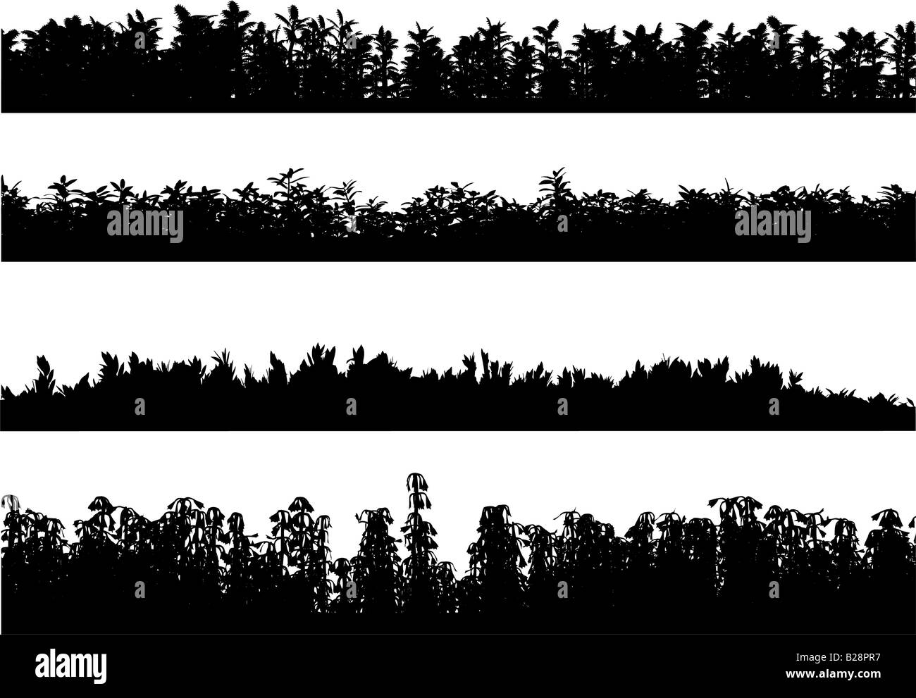 Eine Reihe von Silhouetten des Grases unterschiedlichen Grades Grass Stockfoto