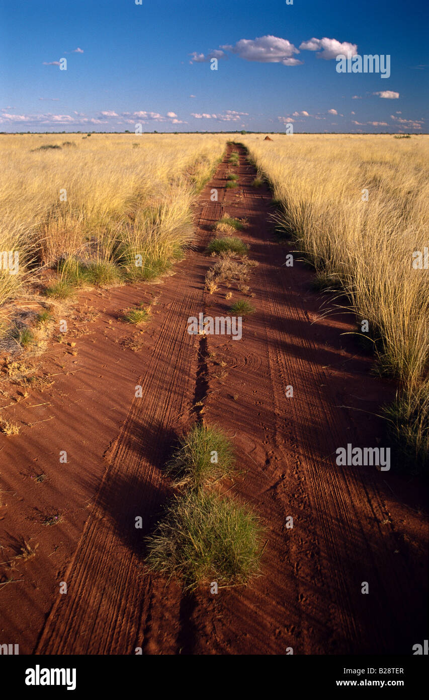 Outback Track [Australien] Stockfoto