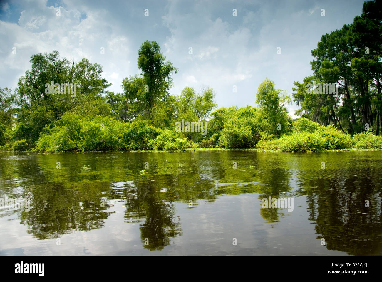 Atchafalaya Basin in der Nähe von McGee Landung ist, Henderson, Louisiana Stockfoto