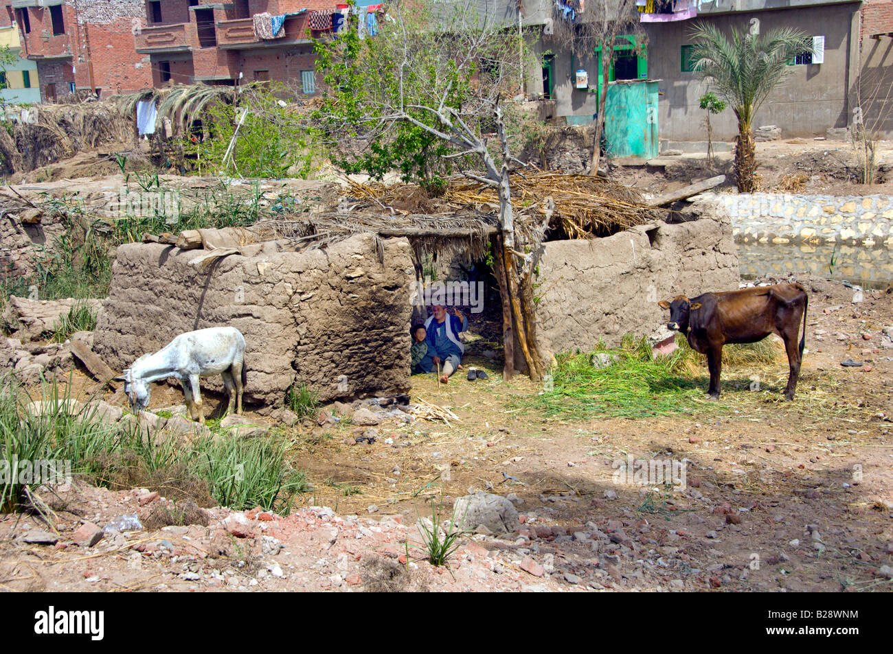 Die El-Fayoum-Landschaft, die das ländliche Leben in Ägypten Stockfoto