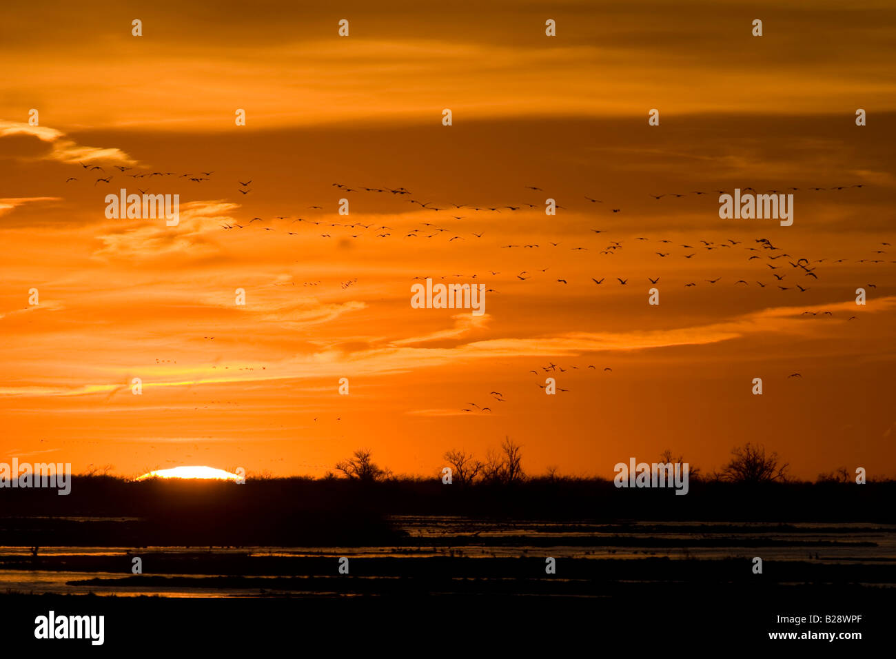 Die Sonne geht über der Platte River in der Nähe von Kearney Nebraska Stockfoto