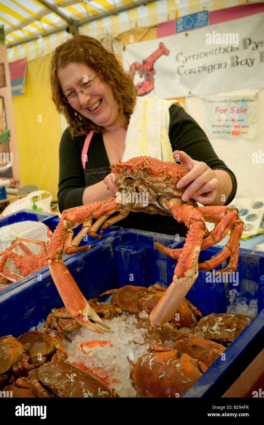 lächelnde Frau Stall Inhaber hält eine sehr große Seespinne Angebote Cardigan Bay Seafood Festival Aberaeron Wales UK Juli 2008 Stockfoto