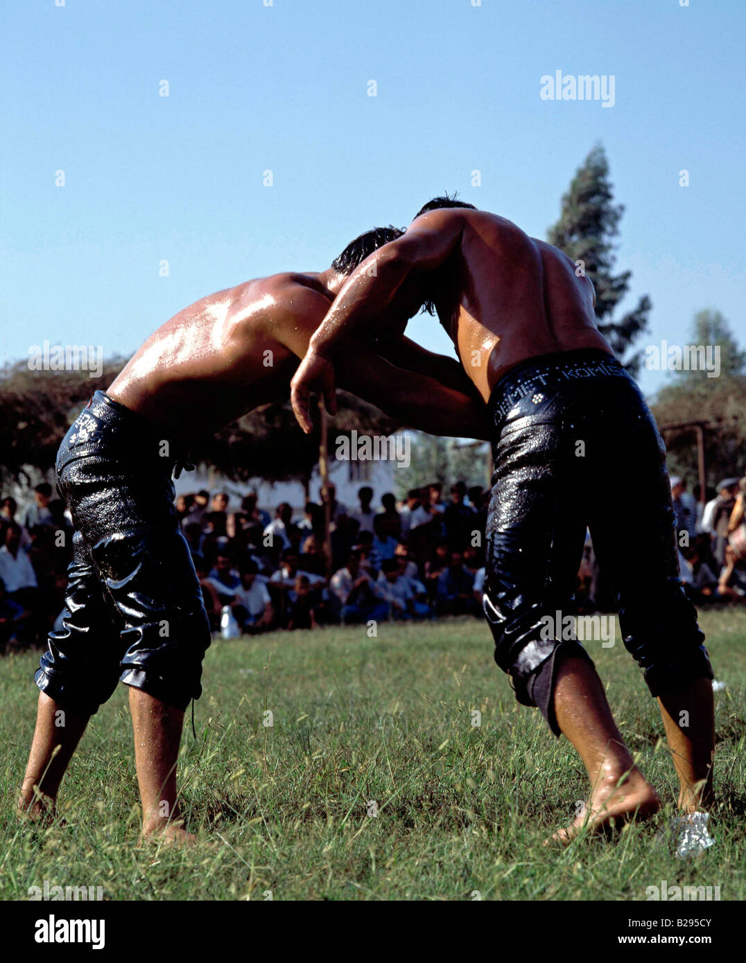 Öl-Wrestling in der Nähe von Fethiye Türkei Datum 17 04 2008 Ref ZB720 112425 0005 obligatorische CREDIT Welt Bilder Photoshot Stockfoto