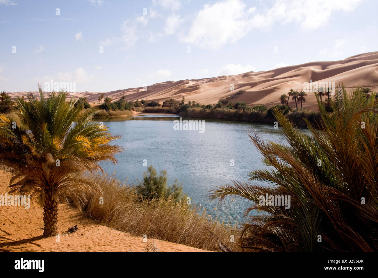 Libyen Sahara Desert Oasis See Umm el Ma Stockfoto