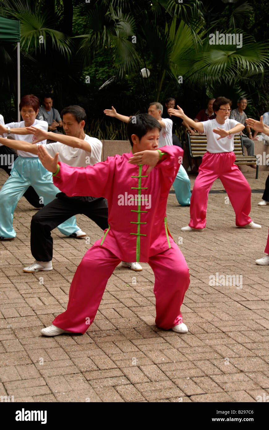Kung-Fu-Ausstellung, Kowloon Park, Hong Kong, china Stockfoto