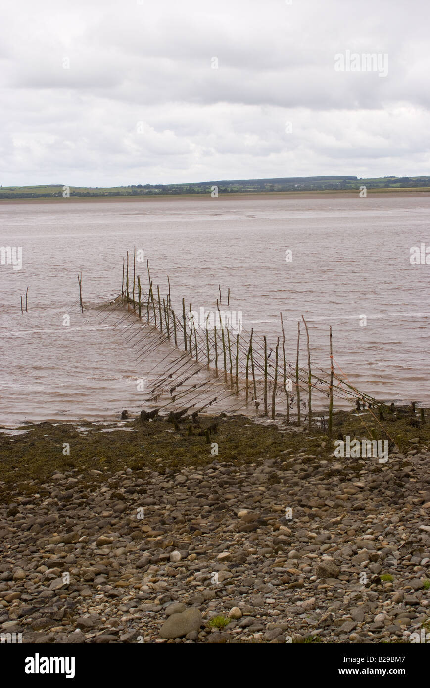 Lachs Pfahl Fischernetze in der River Cree in der Nähe von Creetown Wigtown Bay Dumfries und Galloway Schottland Vereinigtes Königreich UK Stockfoto