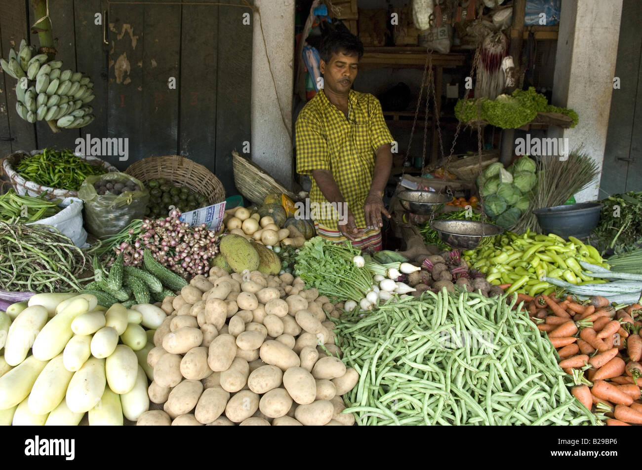 Gemüsemarkt Shop Aluthgama Sri Lanka Stockfoto