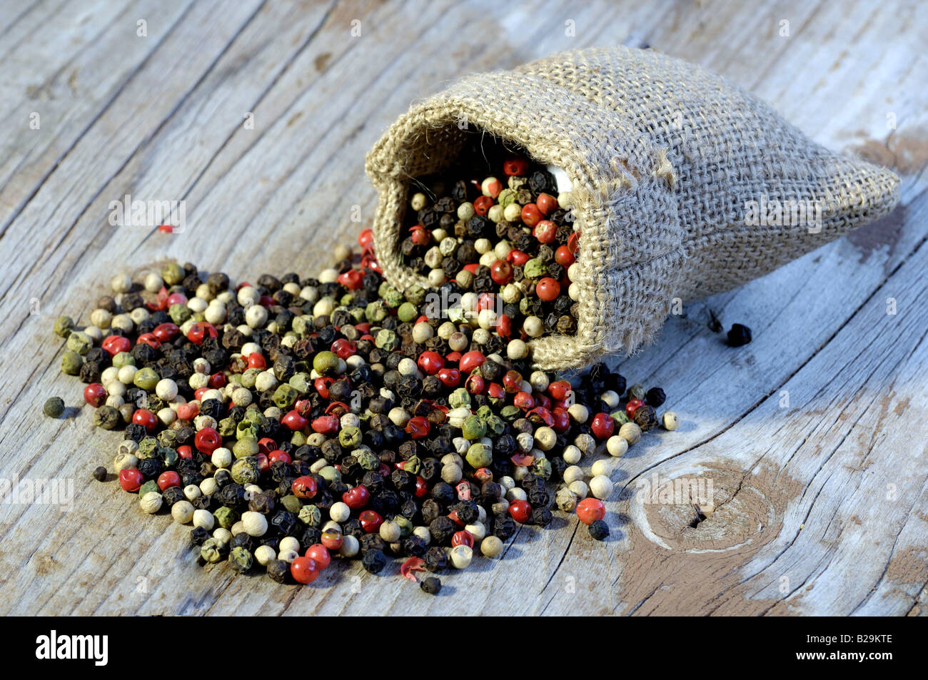Pfeffer Stockfoto