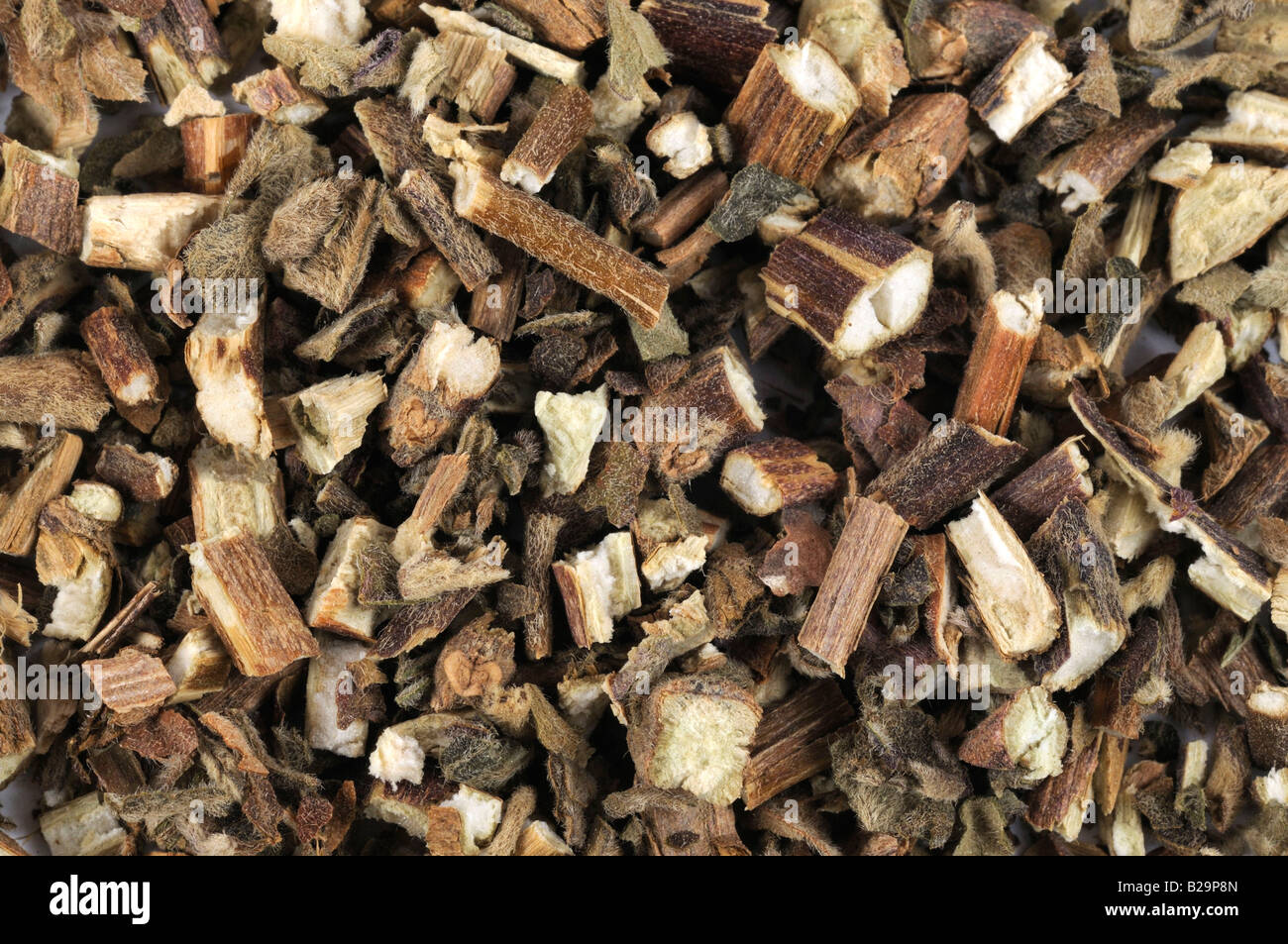 Patchouli Herb Cablin / Guang Huo Xiang Stockfoto