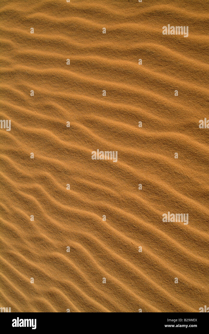 Sandmeer Libyen Ref WP SAV 1404 obligatorische CREDIT Welt Bilder Photoshot Stockfoto