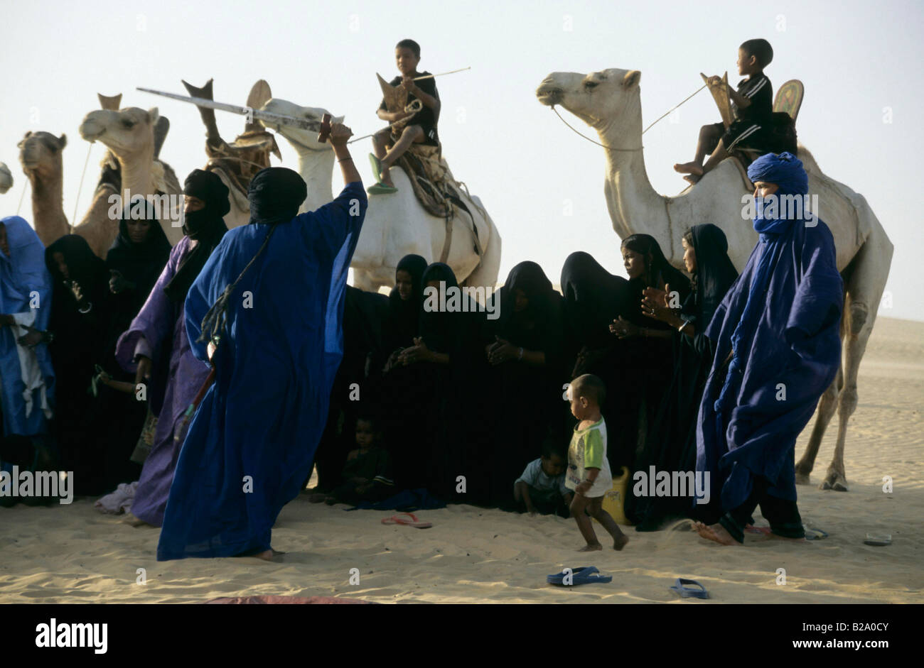 Wüste, Kamele und Tuareg Stamm tanzen Tinmbuktu Mali Stockfoto