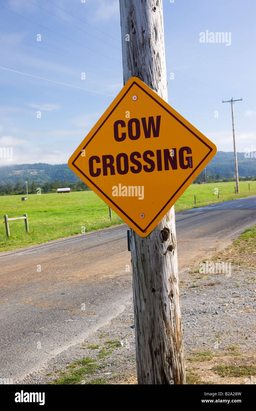 Melden Sie sich, "Kuh", Landstraße überqueren. Stockfoto