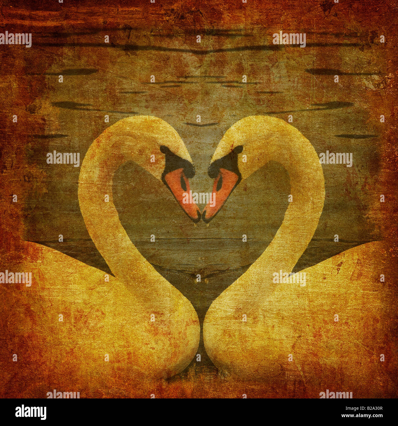 Grunge-Postkarte mit zwei Schwäne in der Liebe Stockfoto