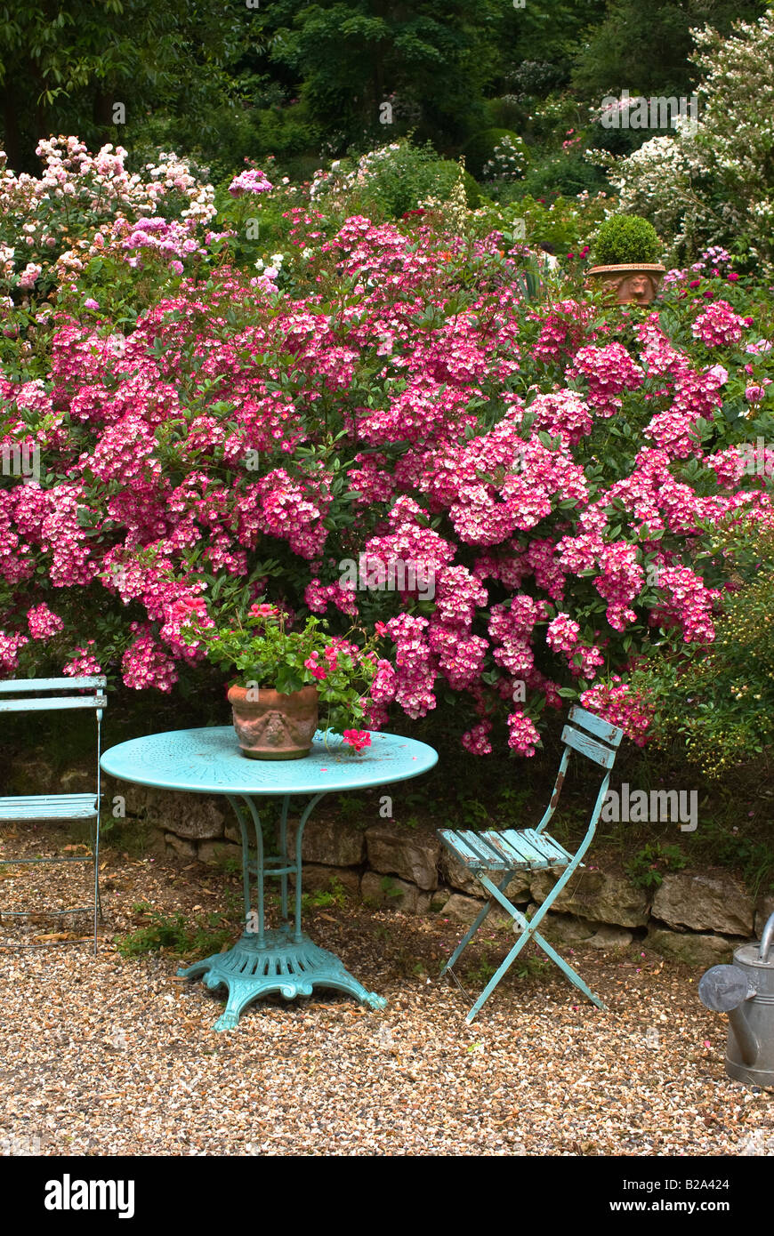 Blauer Tisch und rosa Rosen im Garten am Hotel Baudy in Giverny Frankreich EU Stockfoto