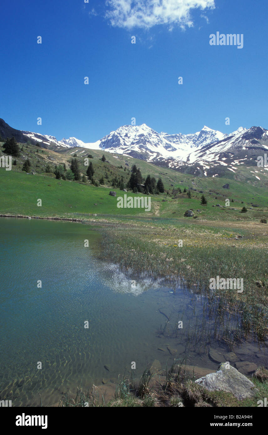 Alp Flix Graubünden Schweiz Stockfoto