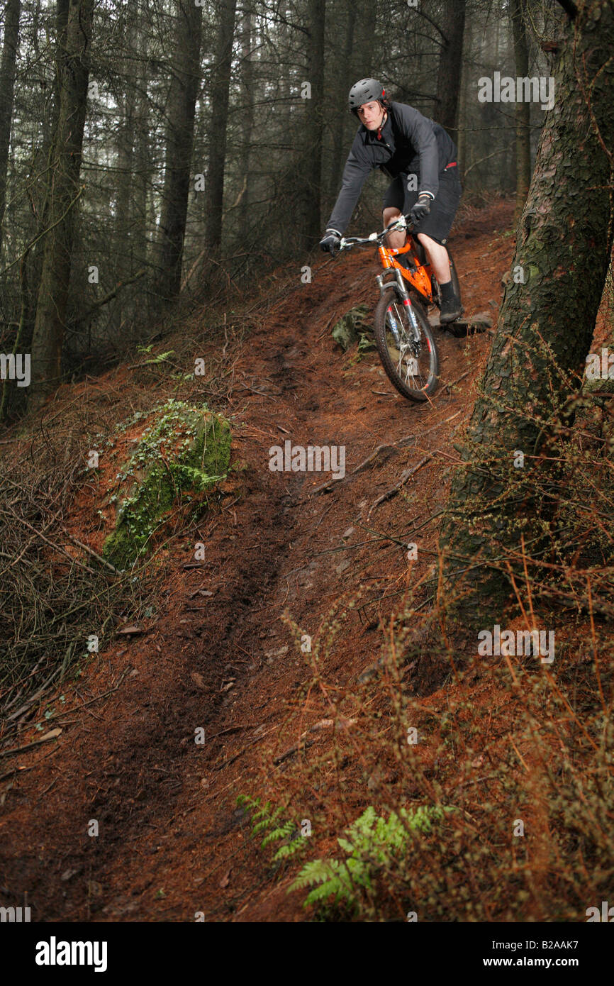 Mountainbiker reitet auf steilen Rückgang Süd Wals Stockfoto