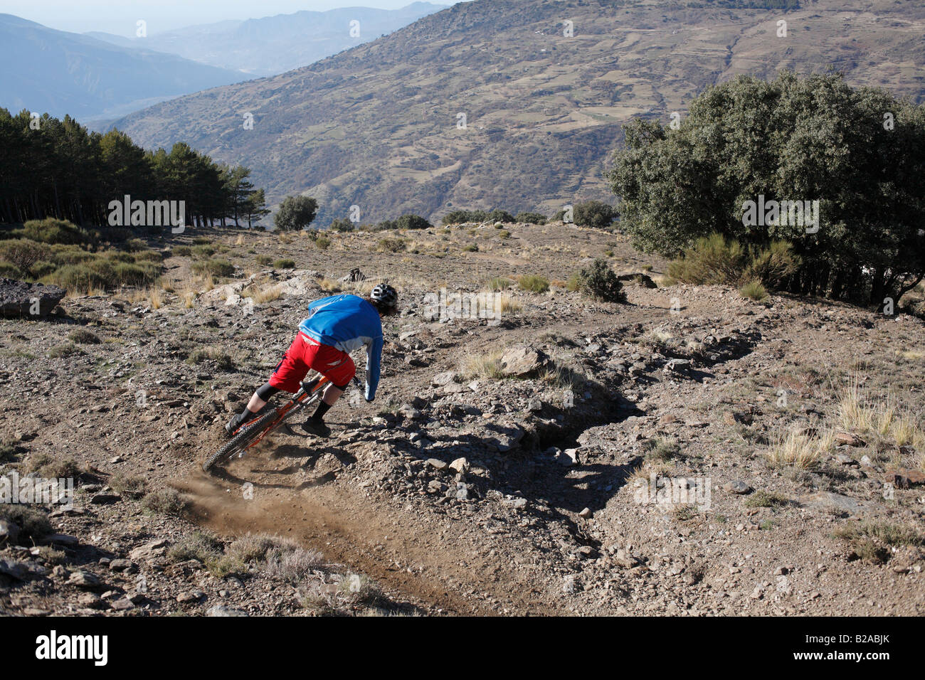 Mountainbiker fahren bergab unter trockenen Bedingungen Stockfoto