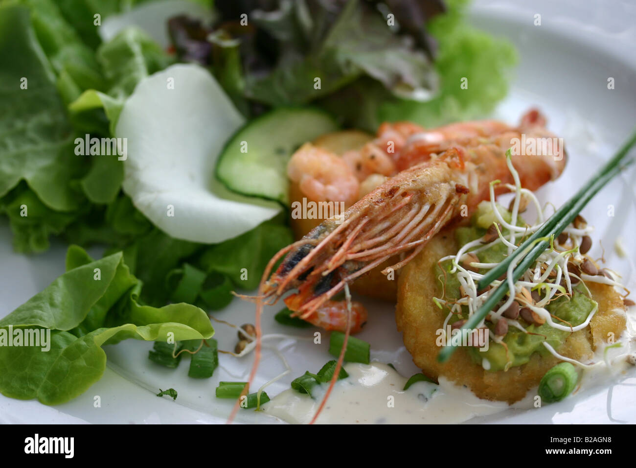 Starter-Mahlzeit bestehend aus Garnelen, Shrimps, Rosenkohl, Zwiebeln und Garnitur auf einem Salatbett Stockfoto