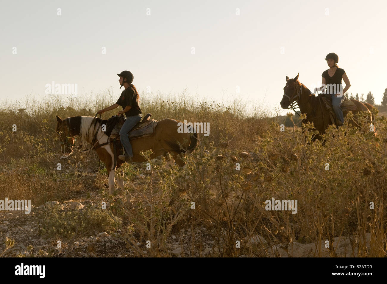 Israelische Frauen Reitpferde im Menashe Höhen oder Ramot Menashe befindet sich auf dem Carmel Bereich Nordisrael Stockfoto
