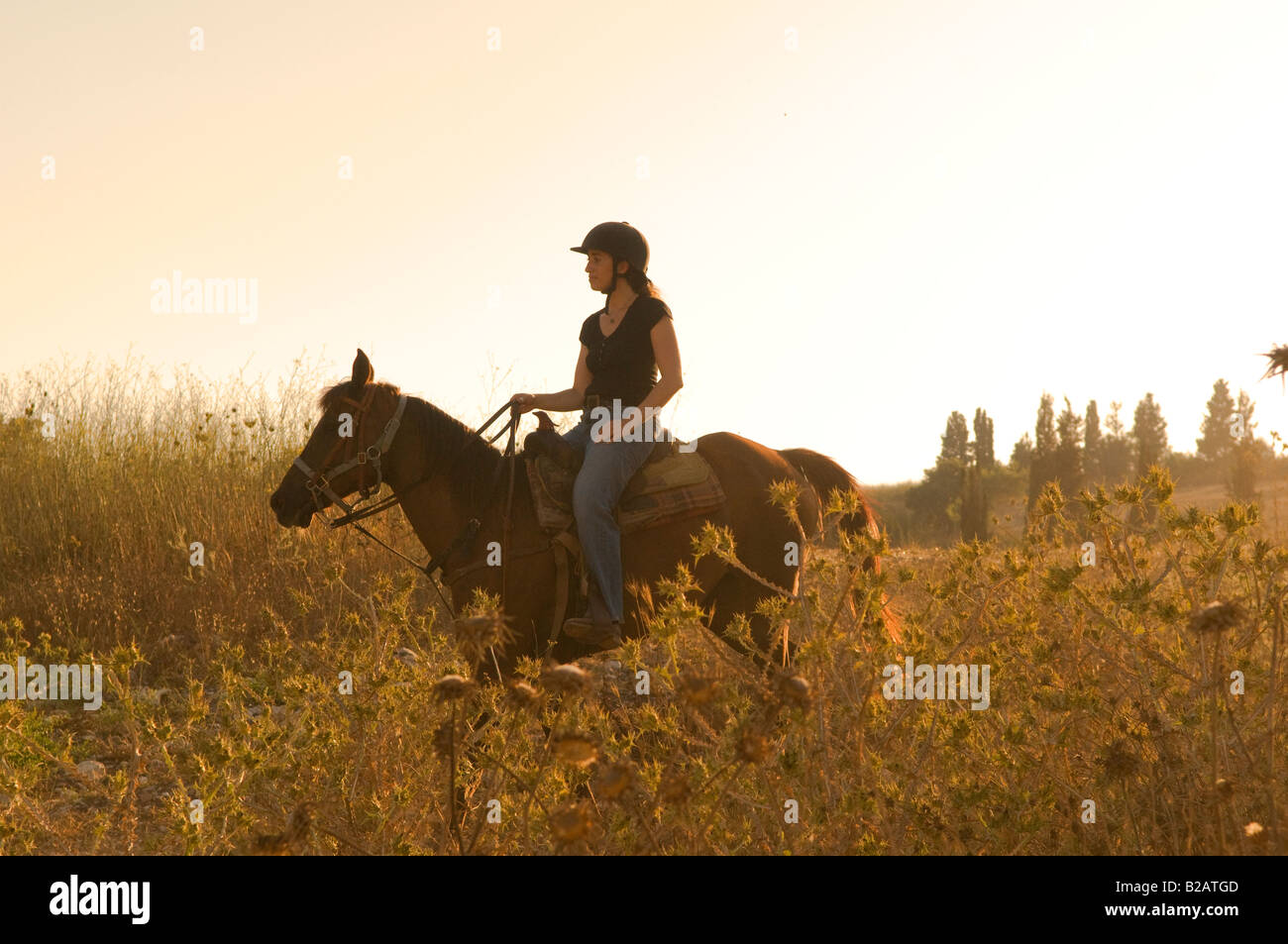 Eine israelische Frau auf einem Pferd in der Menashe Höhen oder Ramot Menashe befindet sich auf dem Carmel Bereich Nordisrael Stockfoto
