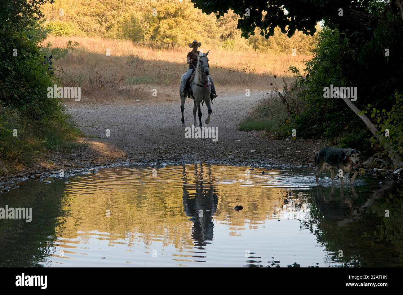 Eine israelische Frau auf einem Pferd in der Menashe Höhen oder Ramot Menashe befindet sich auf dem Carmel Bereich Nordisrael Stockfoto