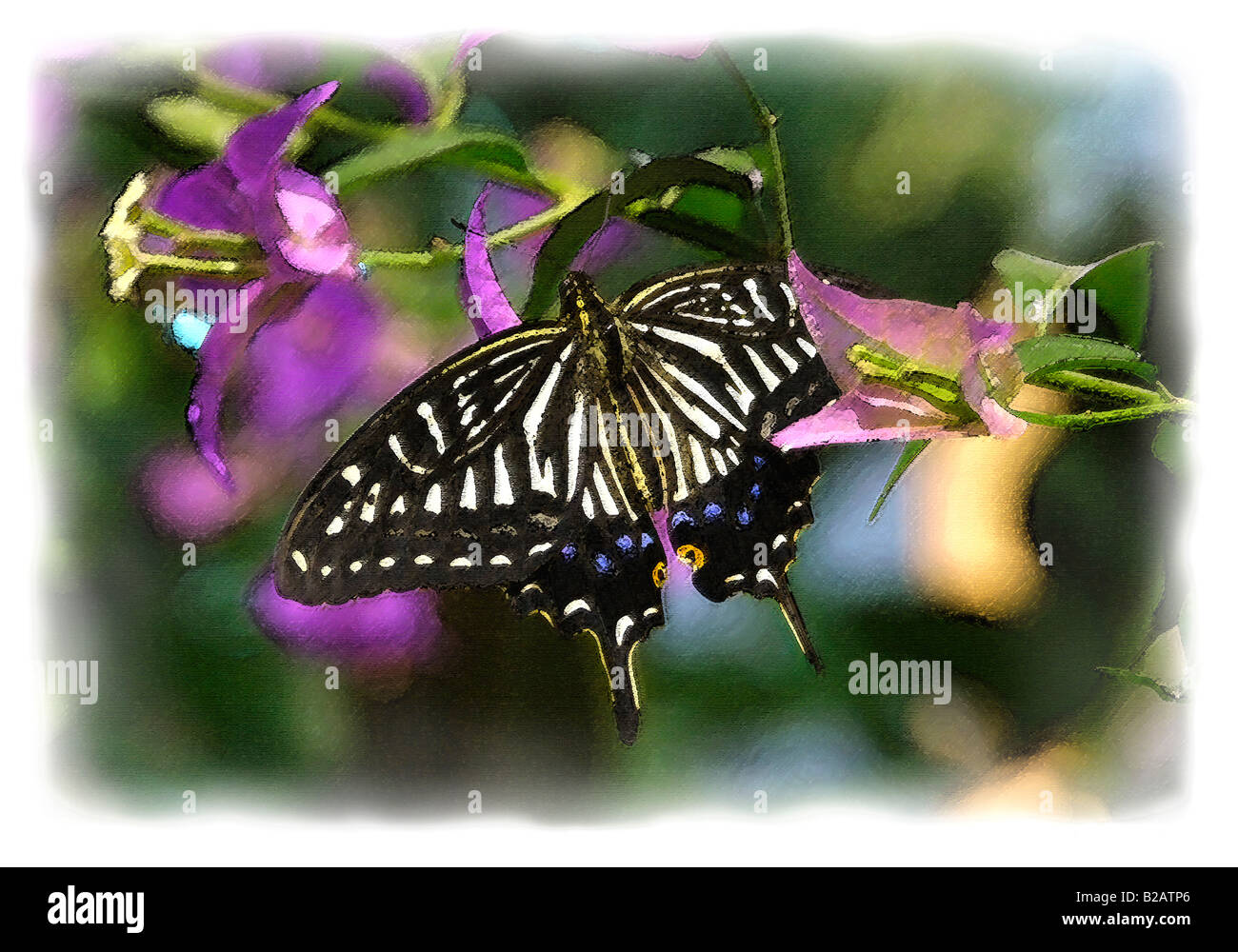 Schmetterling auf einer rosa Blume. Aquarell Malerei Effekt. Stockfoto