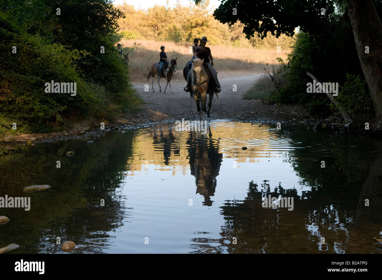Israelische Frauen Reitpferde im Menashe Höhen oder Ramot Menashe befindet sich auf dem Carmel Bereich Nordisrael Stockfoto