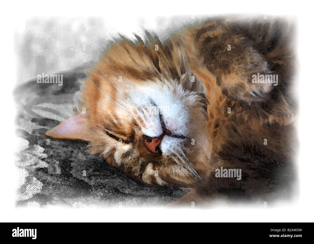 Eine schöne Schlafende Katze. Aquarell Malerei Effekt. Stockfoto
