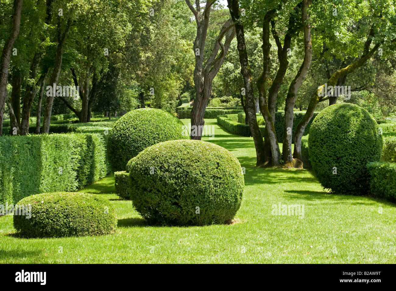 Gärten des Chateau Marqueyssac, Frankreich Stockfoto