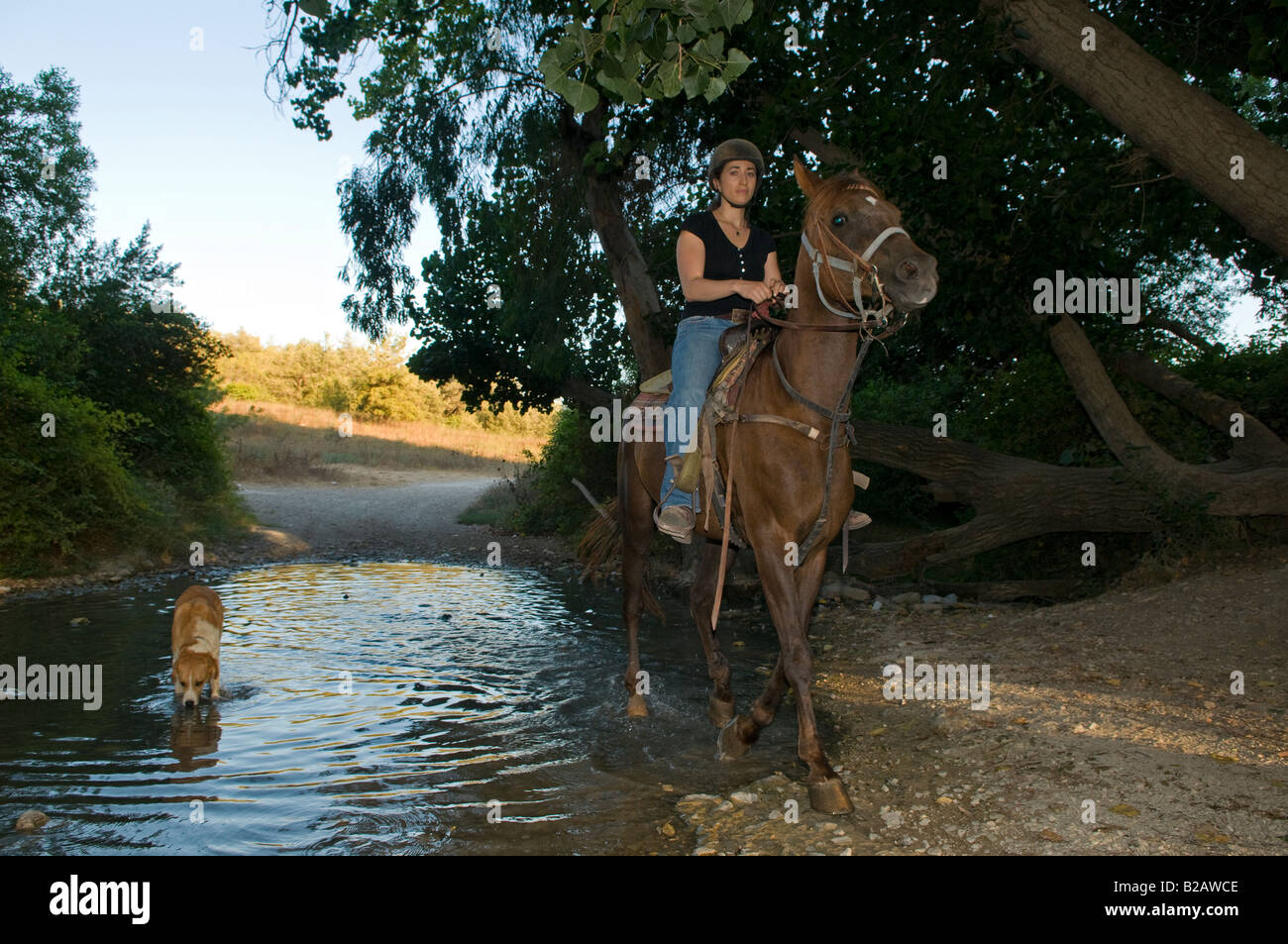 Eine israelische Frau auf einem Pferd in der Menashe Höhen oder Ramot Menashe befindet sich auf dem Carmel Bereich Nordisrael Stockfoto