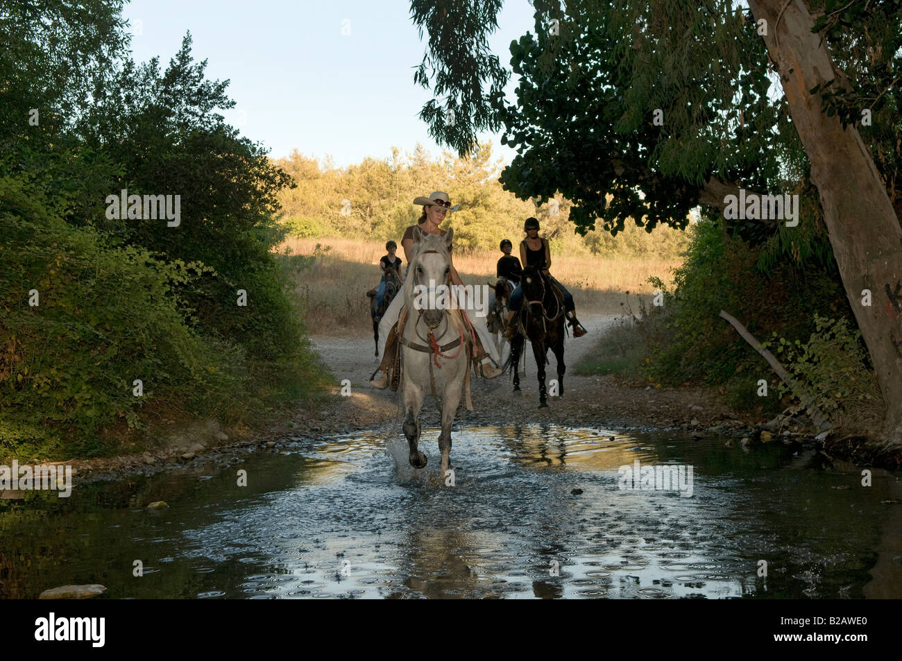 Israelische Frauen Reitpferde im Menashe Höhen oder Ramot Menashe befindet sich auf dem Carmel Bereich Nordisrael Stockfoto