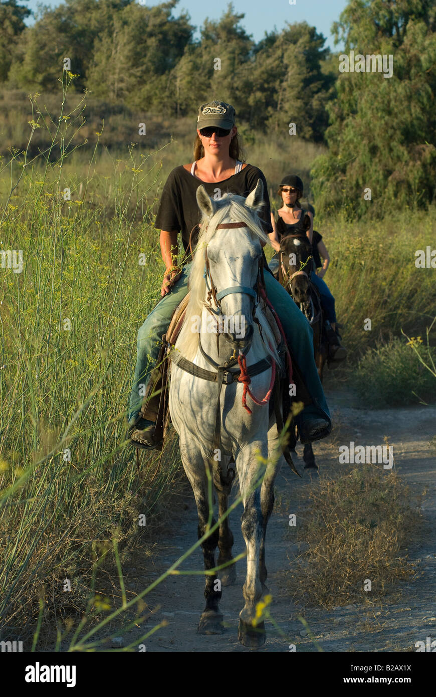 Israelische Frauen Reitpferde im Menashe Höhen oder Ramot Menashe befindet sich auf dem Carmel Bereich Nordisrael Stockfoto