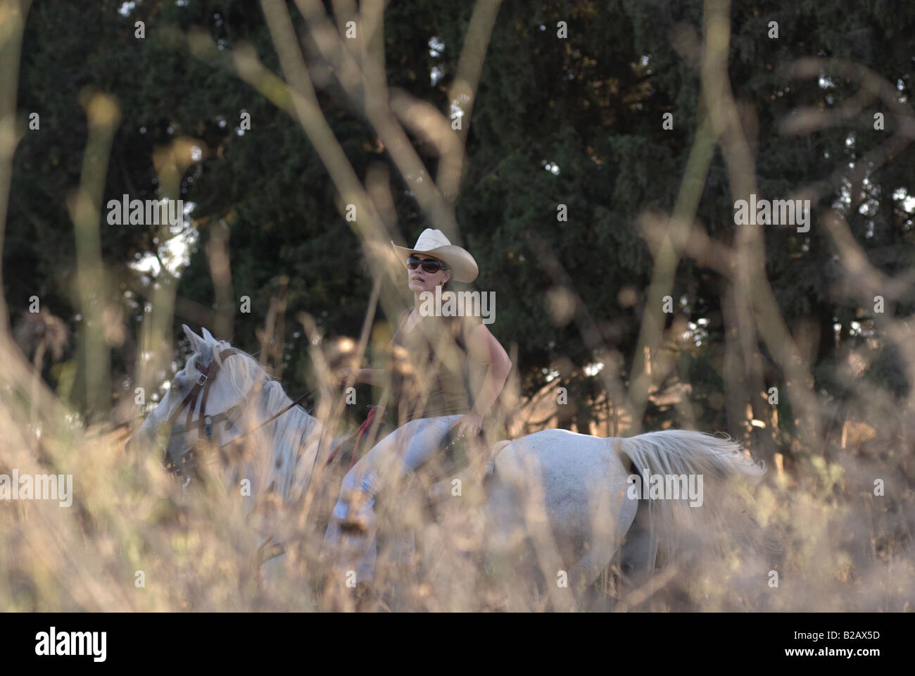 Eine israelische Frau auf einem Pferd in der Menashe Höhen oder Ramot Menashe befindet sich auf dem Carmel Bereich Nordisrael Stockfoto