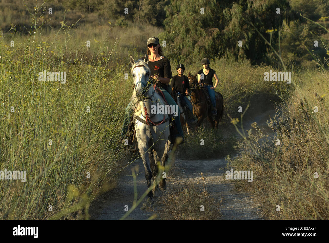 Israelische Frauen Reitpferde im Menashe Höhen oder Ramot Menashe befindet sich auf dem Carmel Bereich Nordisrael Stockfoto