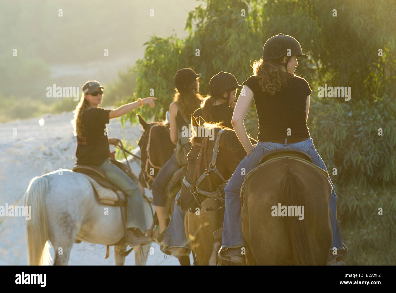 Israelische Frauen Reitpferde im Menashe Höhen oder Ramot Menashe befindet sich auf dem Carmel Bereich Nordisrael Stockfoto