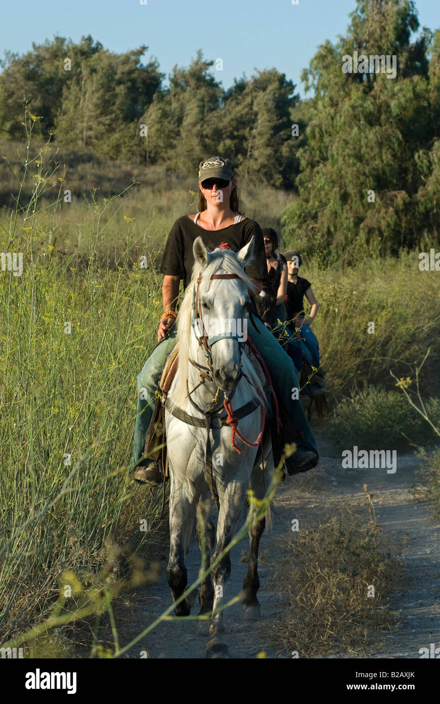 Israelische Frauen Reitpferde im Menashe Höhen oder Ramot Menashe befindet sich auf dem Carmel Bereich Nordisrael Stockfoto