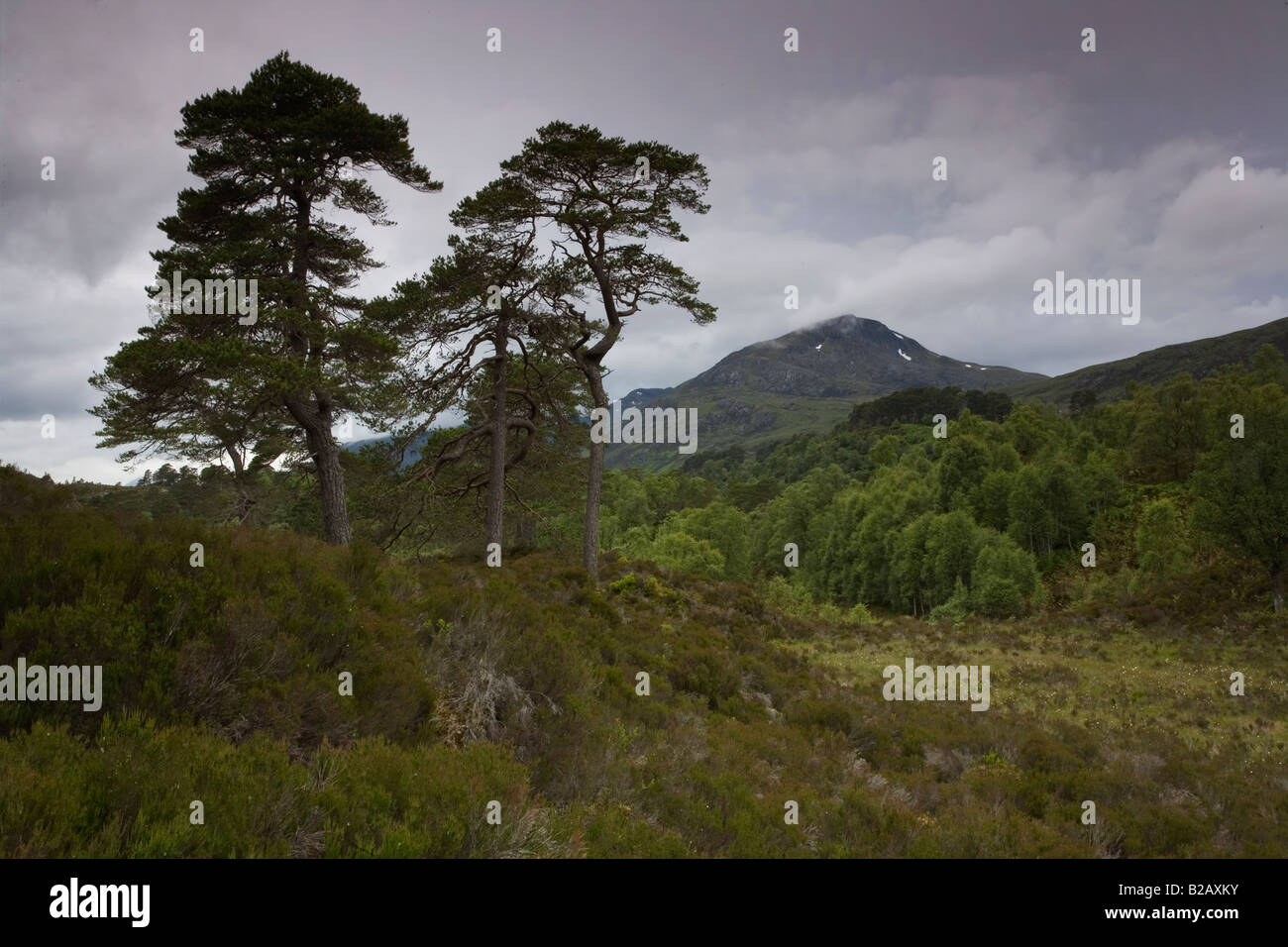 Sgurr Na Lapaich Stockfoto